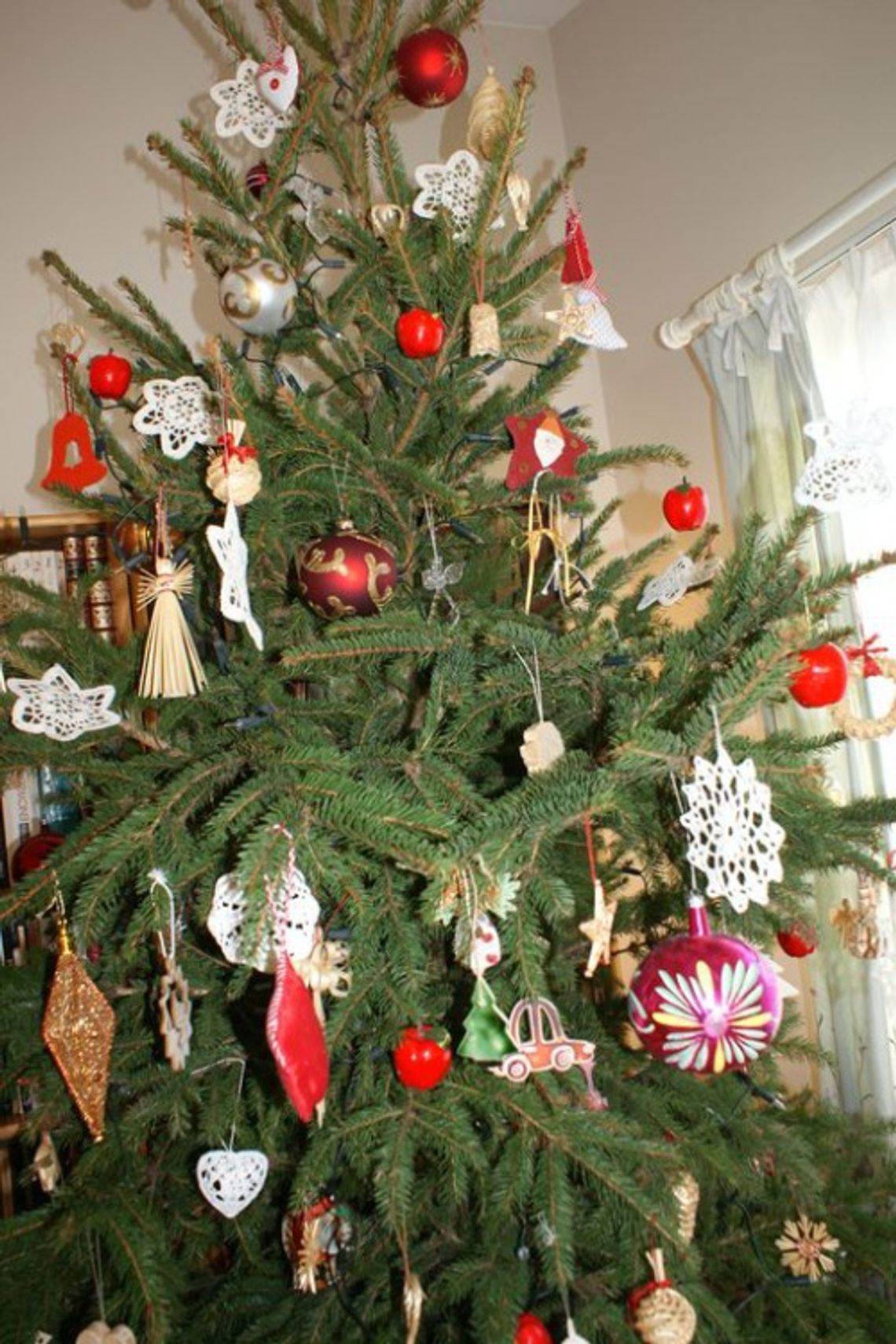 Mandat 500 zł za wyrzucenie choinki na śmietnik