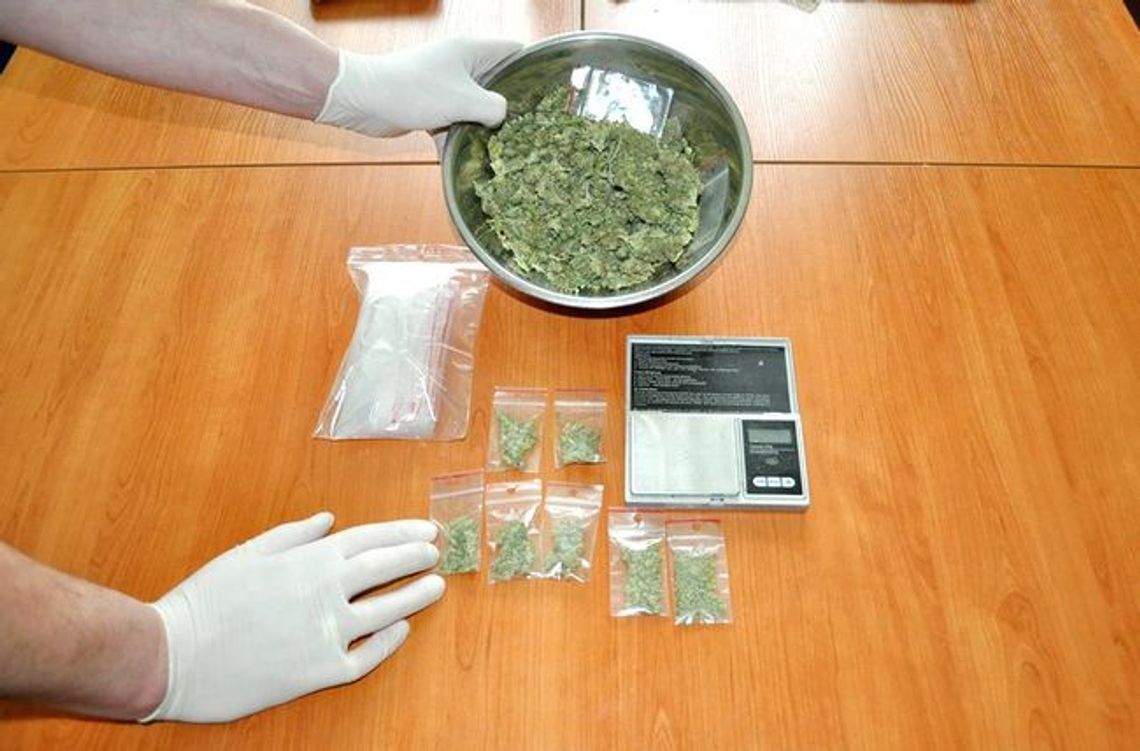 Marihuana w misce Marihuana w misce