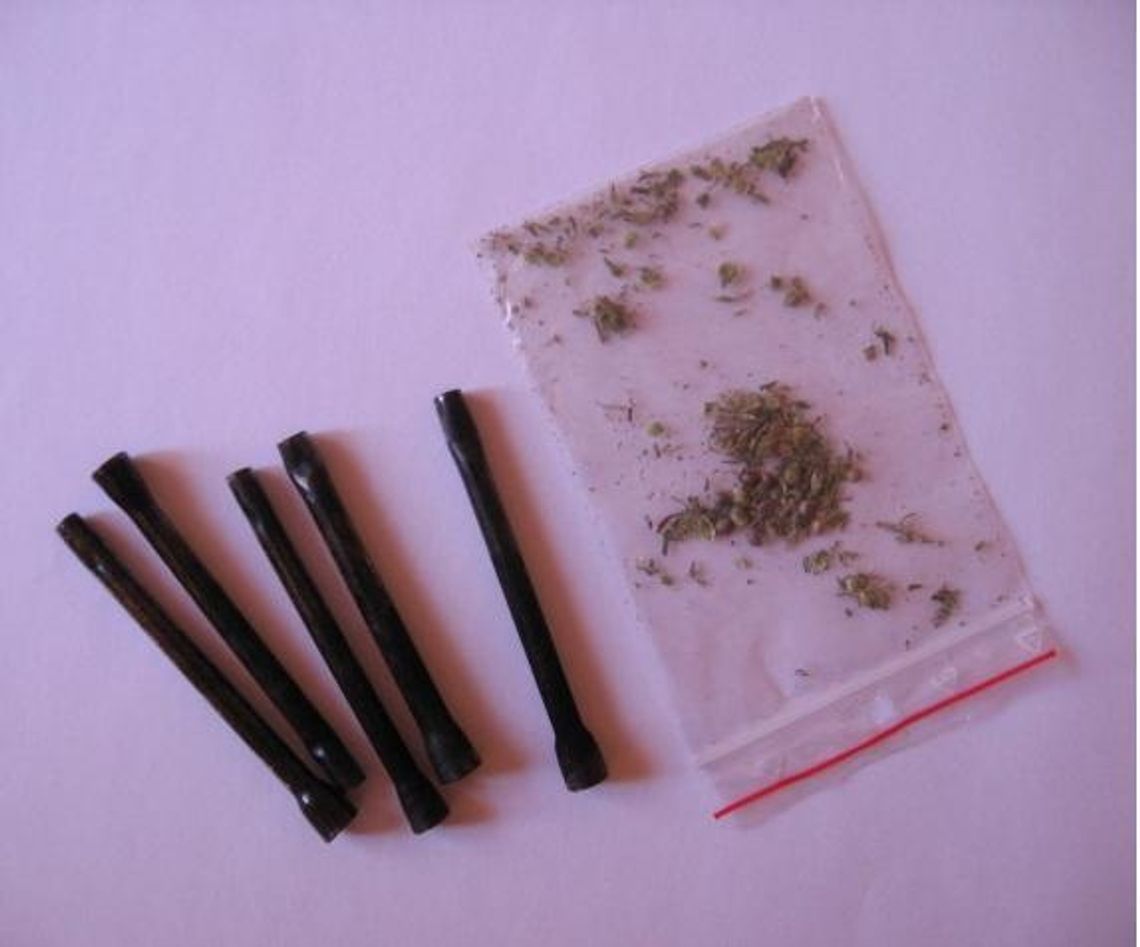 Marihuana z własnej plantacji Marihuana z własnej plantacji