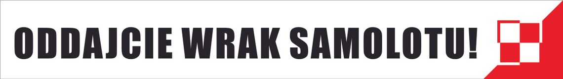 Marsz milczenia  z żółtymi żonkilami - bez własnych transparentów