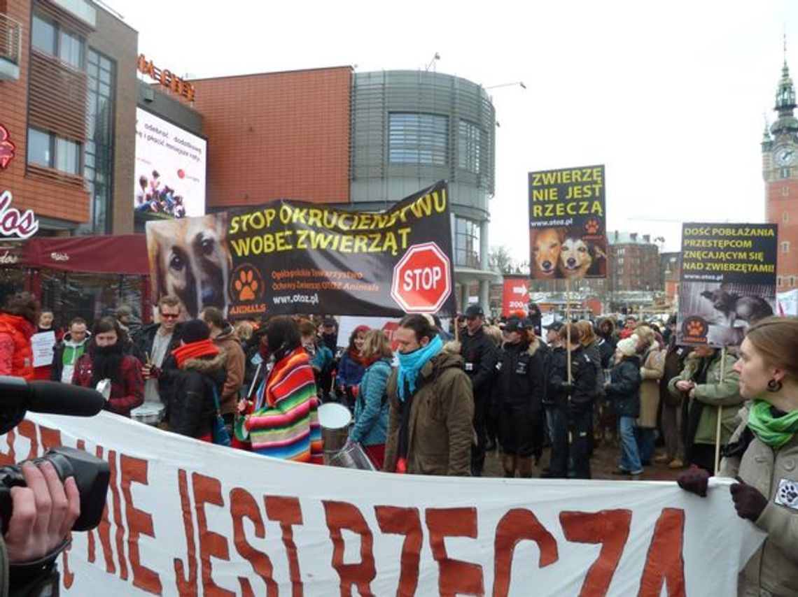 Marsz (nie) milczenia. STOP PRZEMOCY WOBEC ZWIERZĄT Marsz (nie) milczenia. STOP PRZEMOCY WOBEC ZWIERZĄT