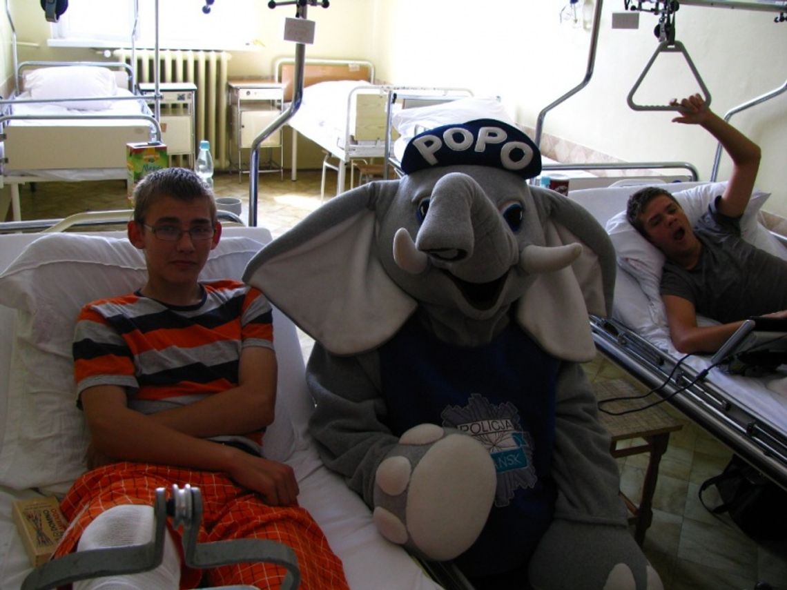 Maskotki w Rowach Maskotki w Rowach