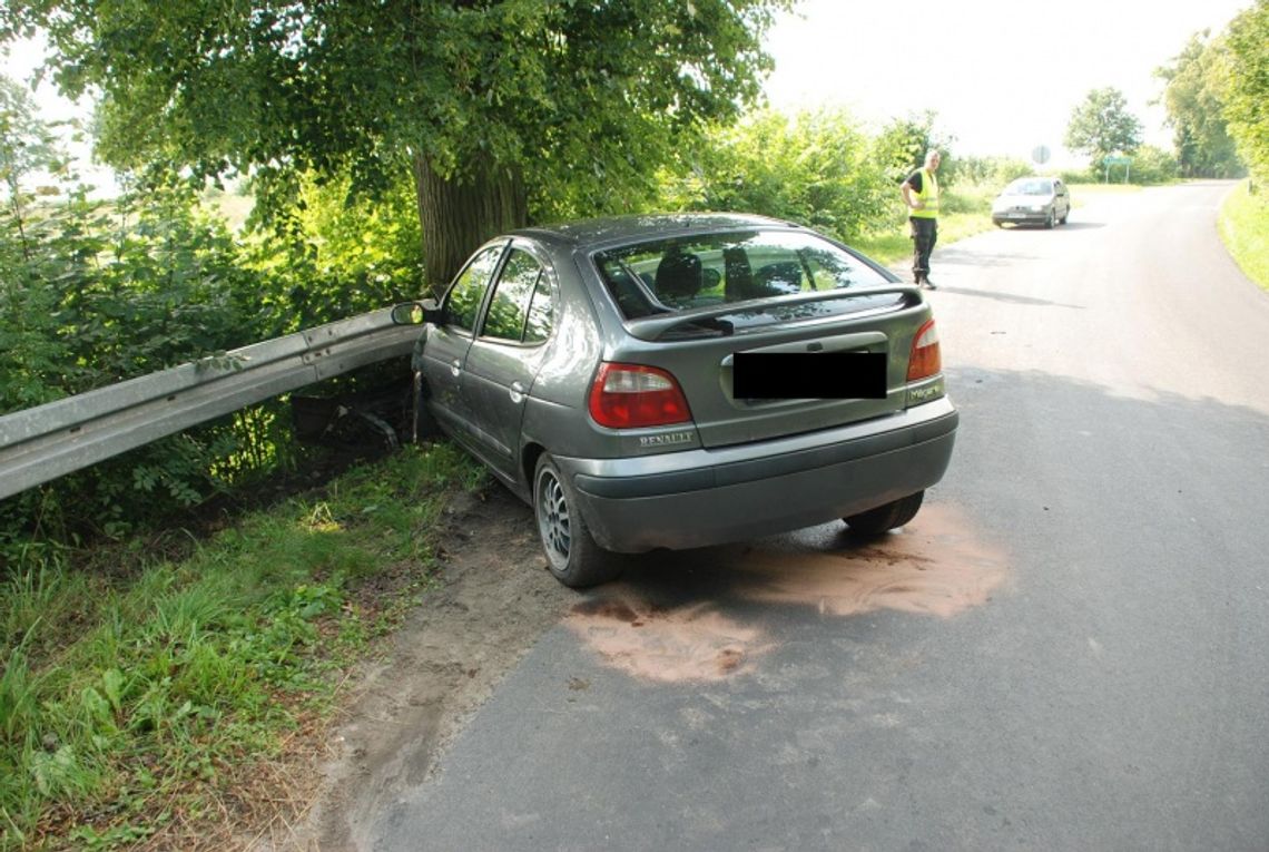 Meganka wbiła się w drzewo