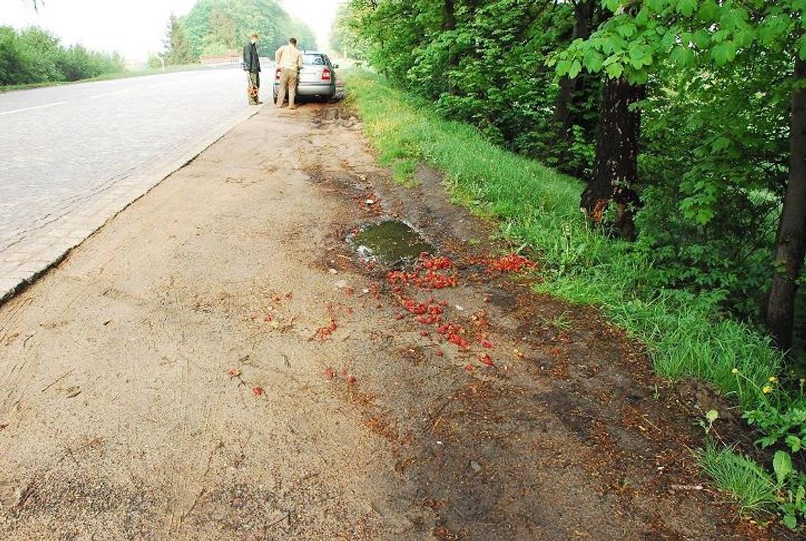 Mercedesem w truskawki, a potem łapówka... Mercedesem w truskawki, a potem łapówka...