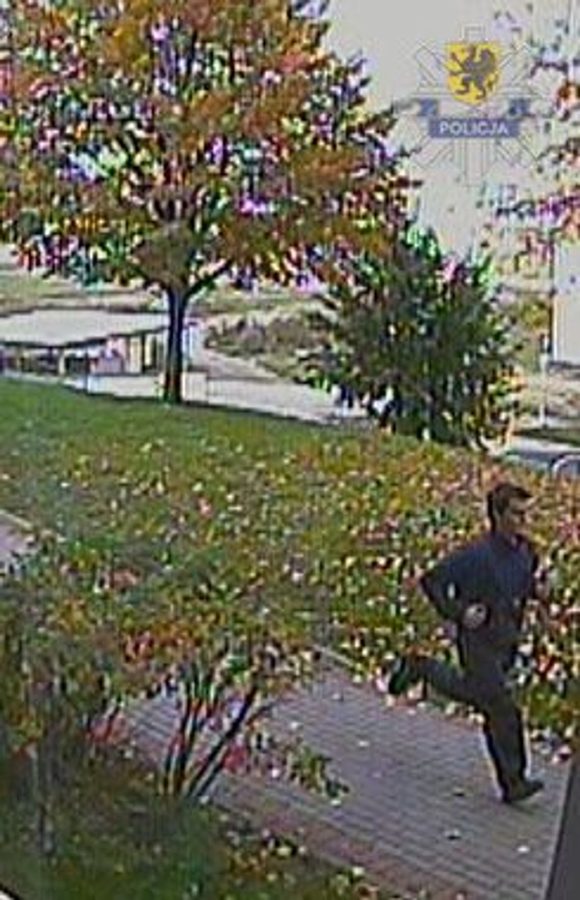 Miał "doprowadzać do innej czynności seksualnej” Miał "doprowadzać do innej czynności seksualnej”