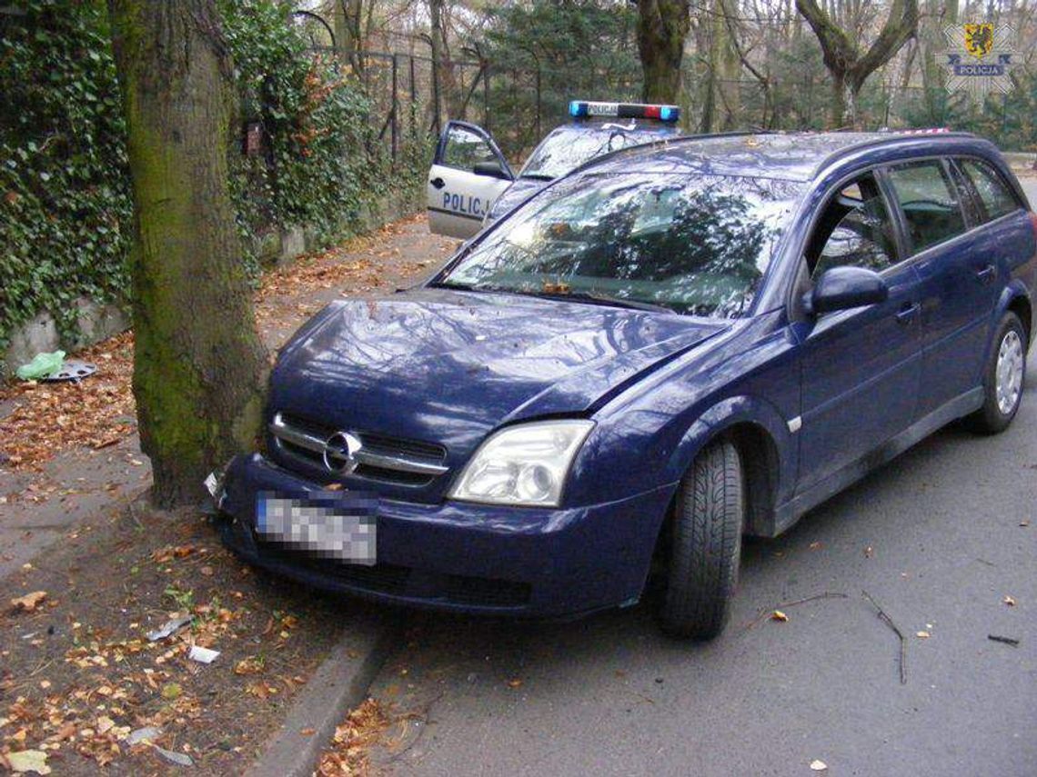 Miał odwieźć wujka na lotnisko - wjechał w drzewo na podwójnym gazie Miał odwieźć wujka na lotnisko - wjechał w drzewo na podwójnym gazie