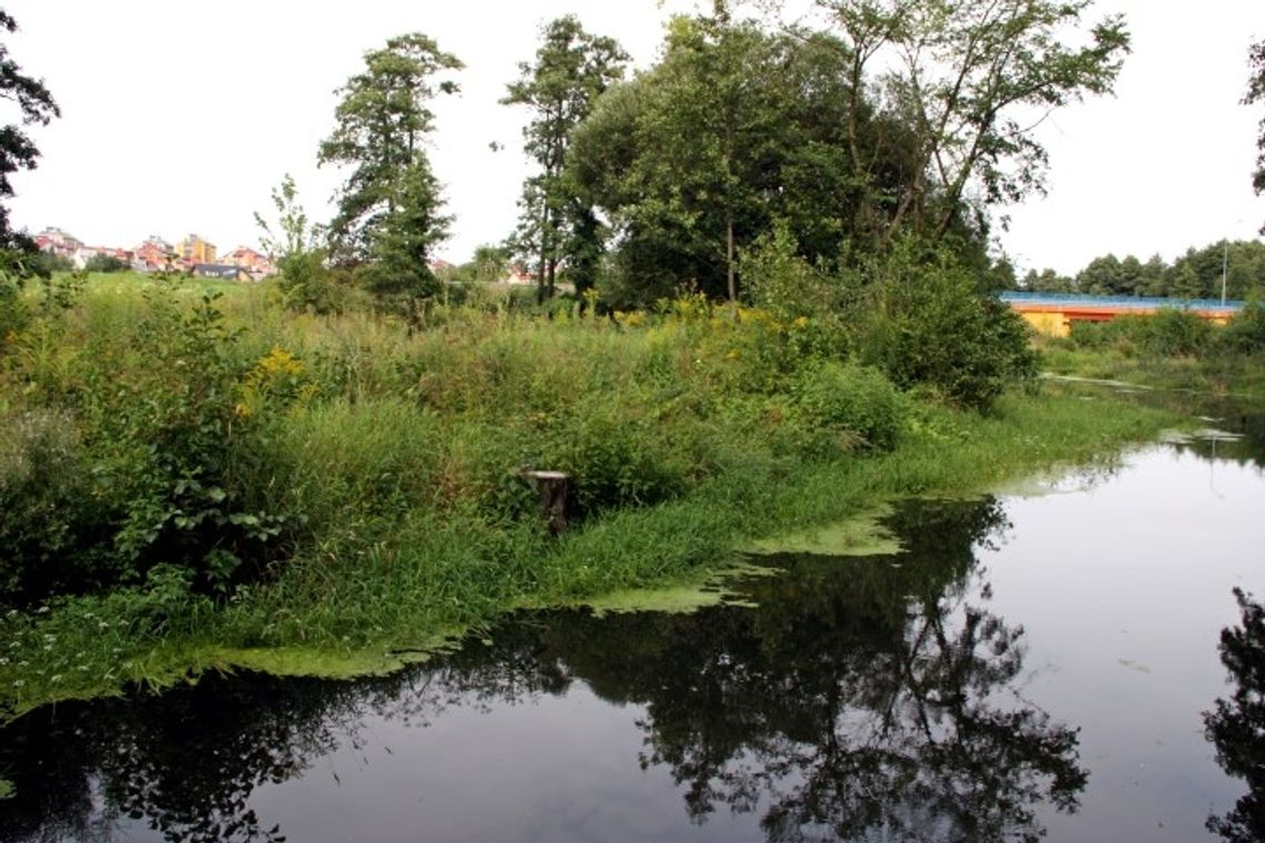 Miasto nie rezygnuje z utworzenia zalewu