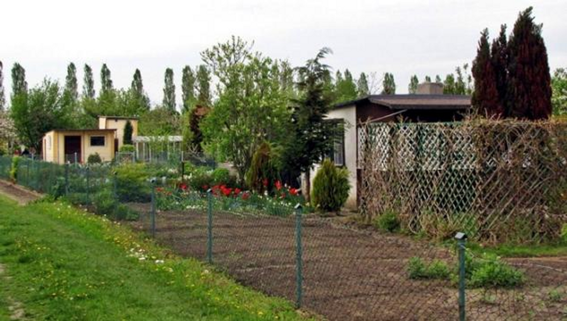 Miasto posprząta ogrody działkowe