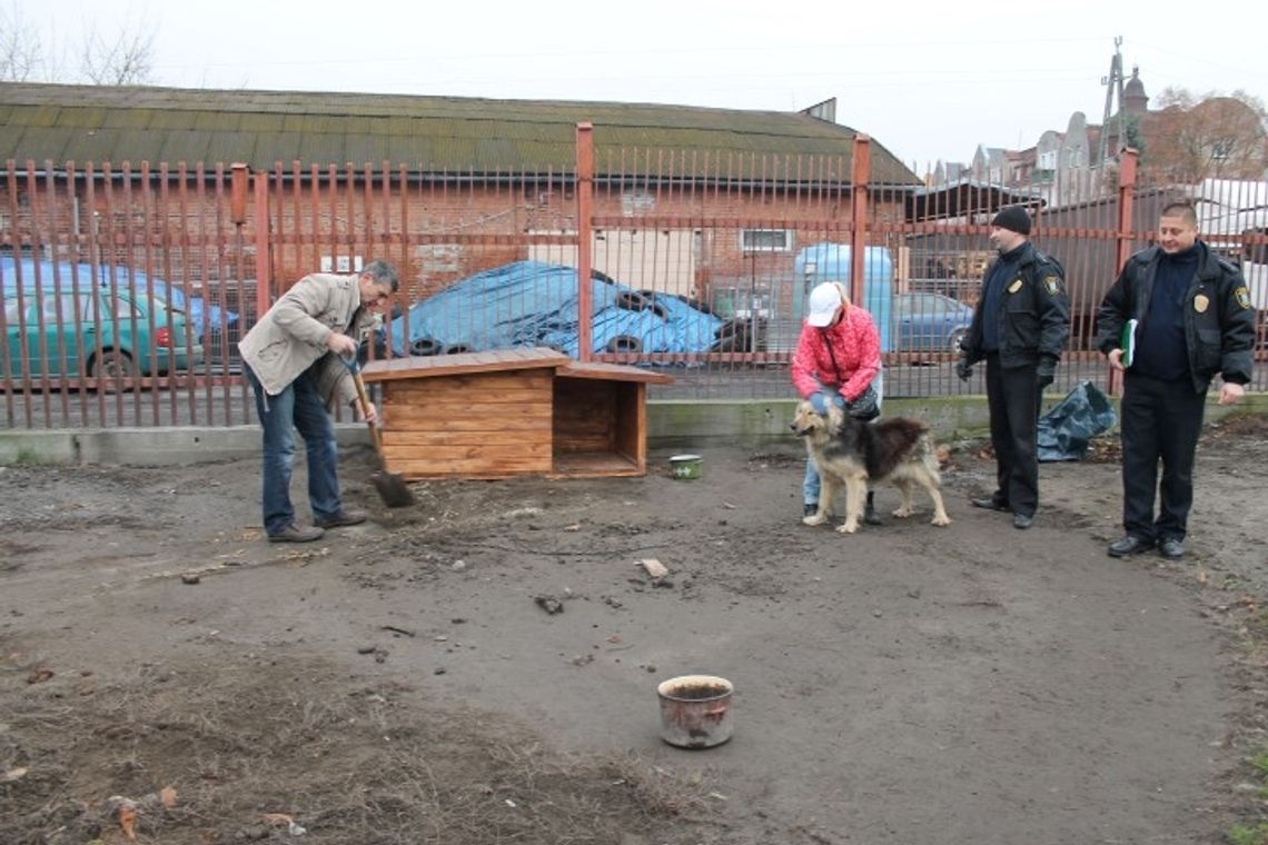 Miesiące dobroci dla zwierząt Miesiące dobroci dla zwierząt