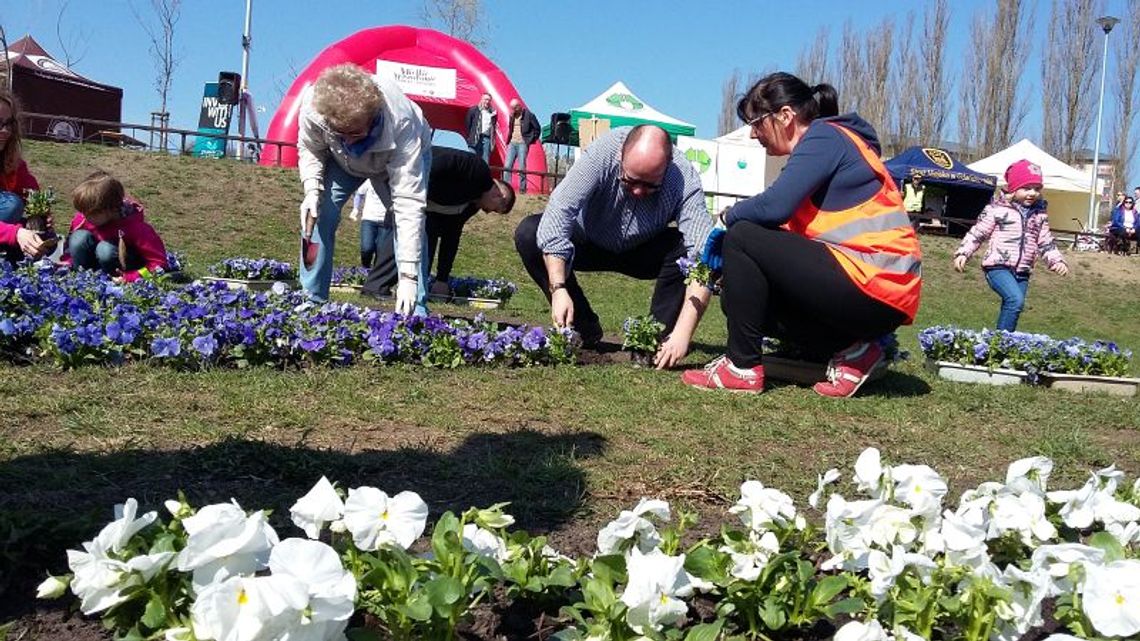 Mieszkańcy Południa porządkowali okolicę