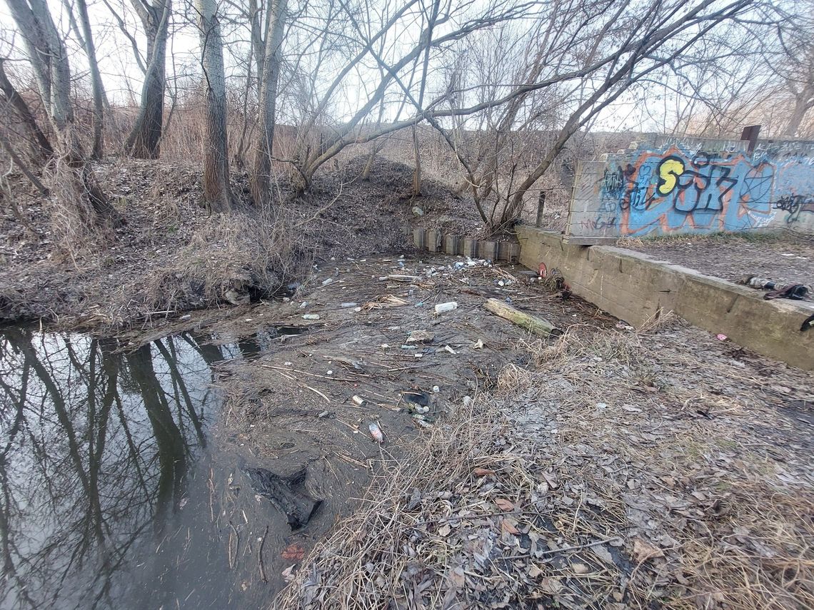 Mieszkańcy posprzątali Kanał Młyński. Społeczna akcja z wsparciem firmy Oiler S.A.