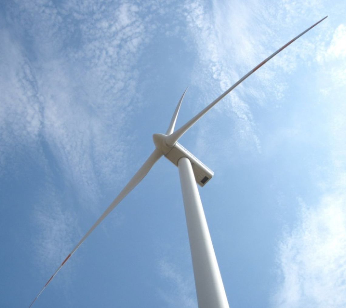 Mieszkańcy Żuław protestują przeciwko łamaniu praw przez inwestorów farm wiatrowych