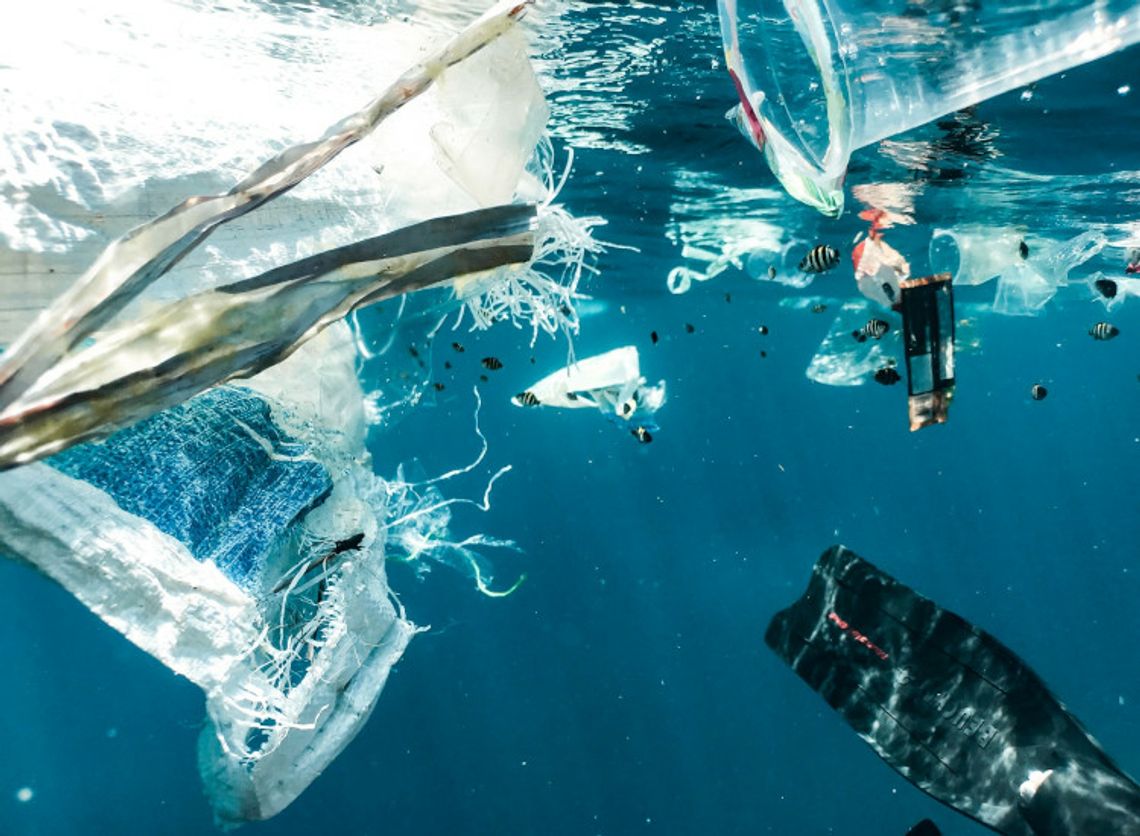 Mikroplastik – gigaproblem. Oto, dlaczego niewielkie odpady zagrażają przyrodzie