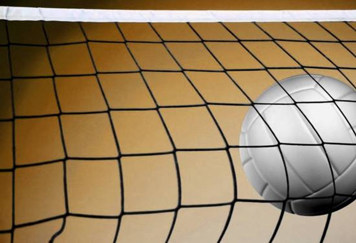 Minimistrzostwa świata w siatkówce Minimistrzostwa świata w siatkówce