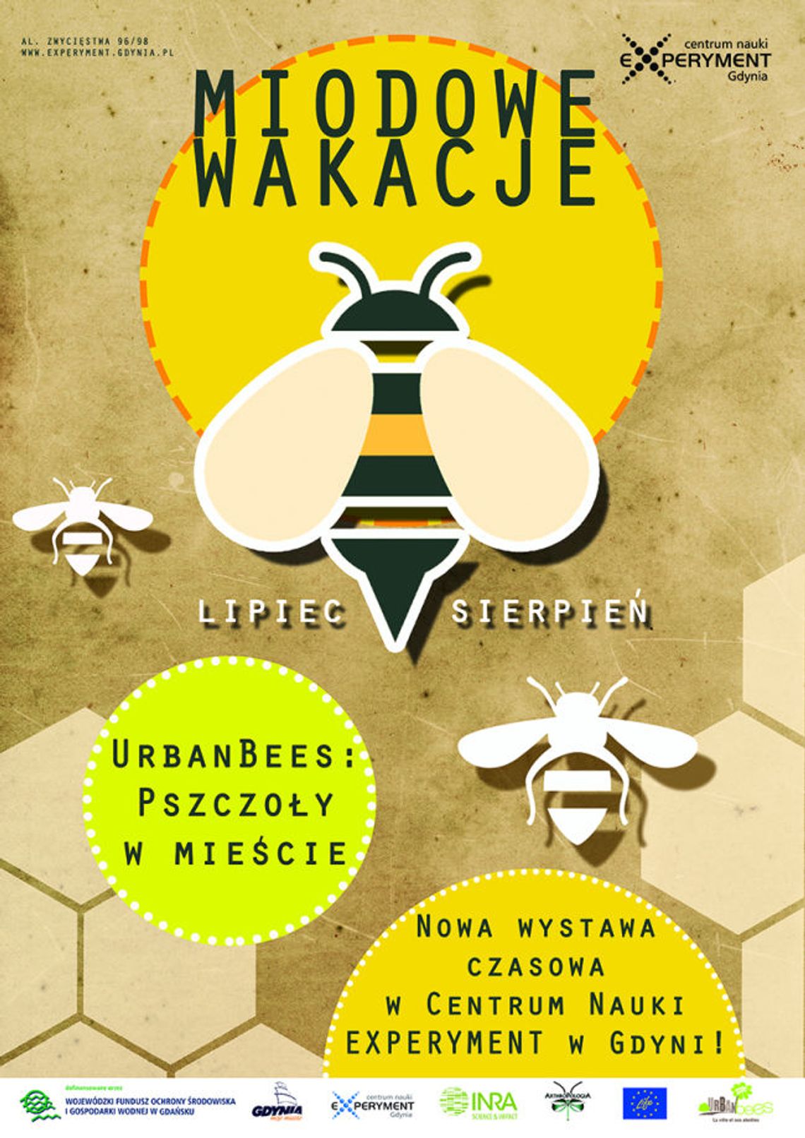 Miodowe wakacje – wystawa „Urbanbees: Pszczoły w mieście”