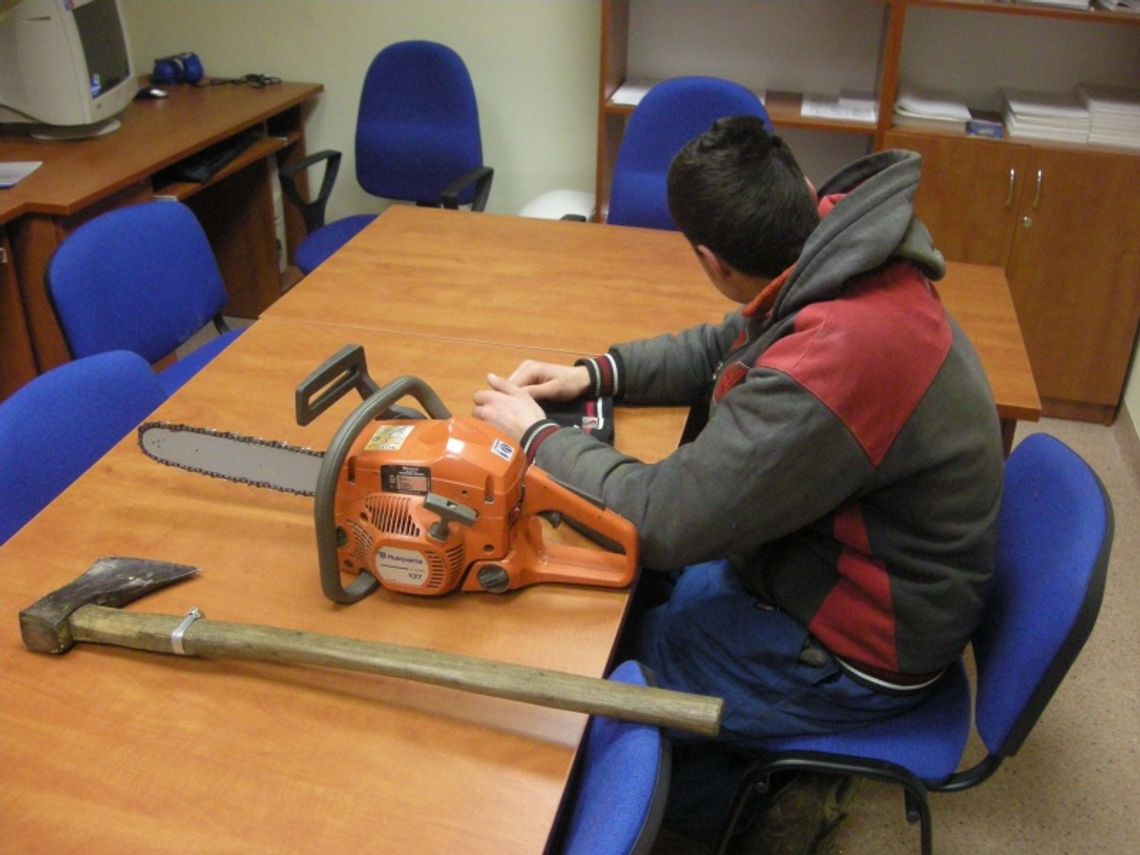 Młodzi "drwale". Nielegalna wycinka drzewa 