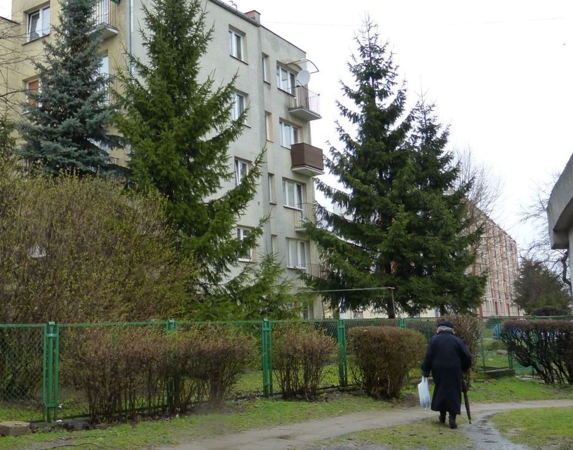 Morderstwo na Czyżykowie czy „makabryczna” plotka?