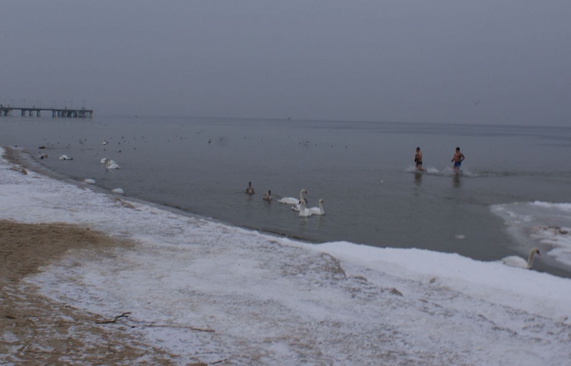 Morsy gdańskie, minus 10 - dla zdrowia do lodowatego Bałtyku