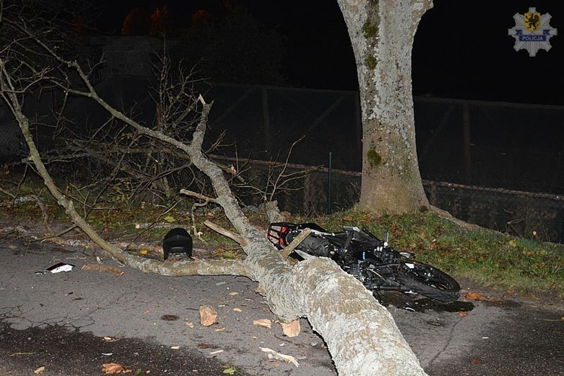 Motocyklista uderzył w leżące na jezdni drzewo. 