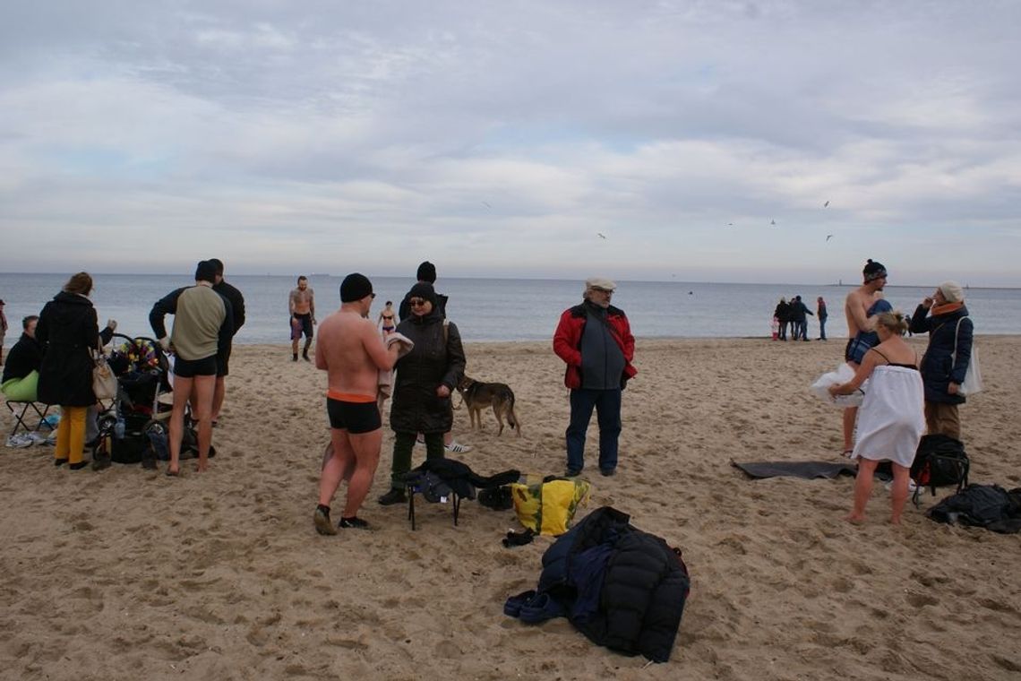 My się zimna nie boimy. Morsy w Brzeźnie My się zimna nie boimy. Morsy w Brzeźnie