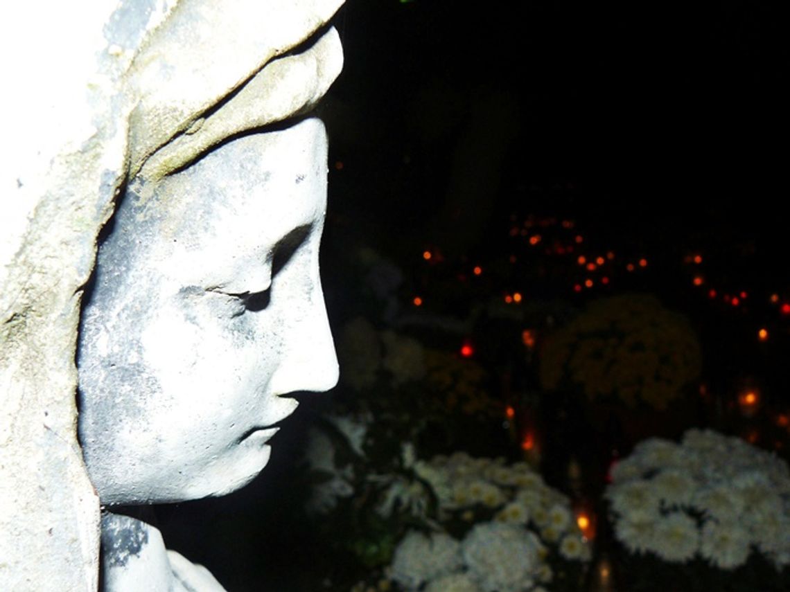 Na cmentarzu komunalnym powstanie kolumbarium