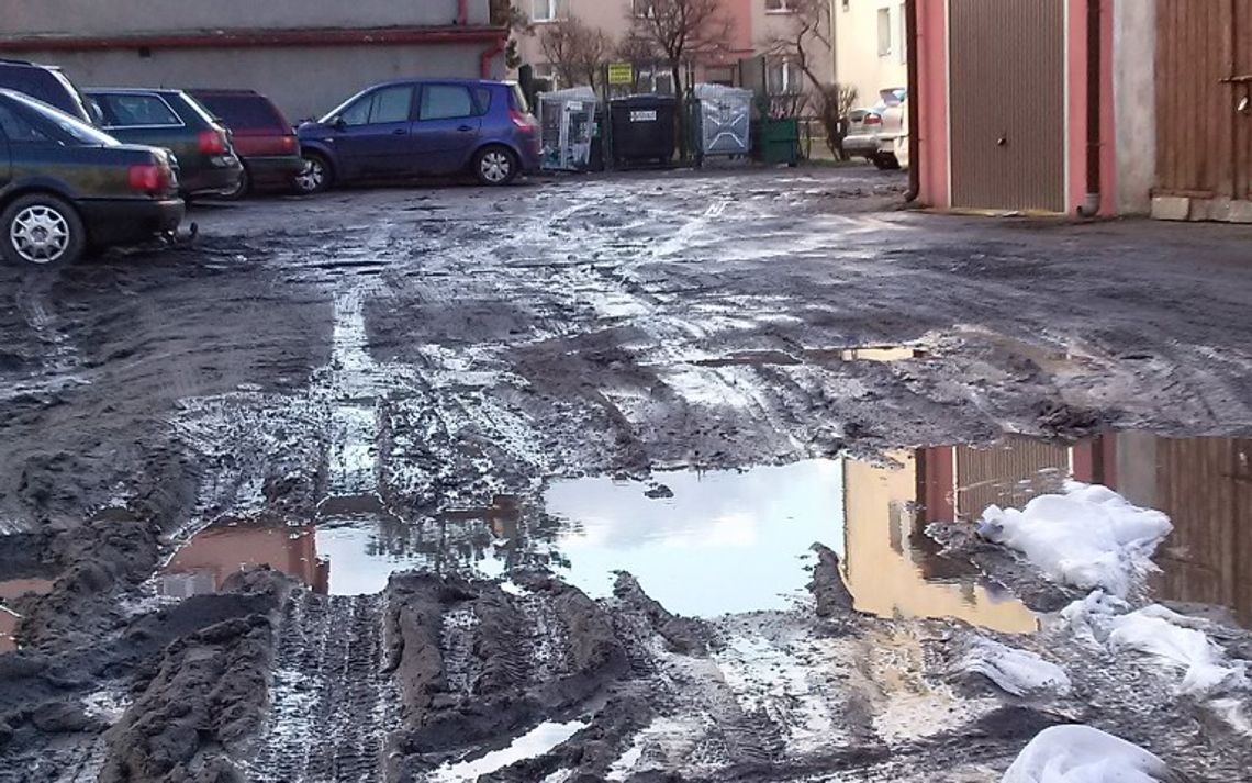 Na Grudziądzkiej zaparkujesz w... błocie Na Grudziądzkiej zaparkujesz w... błocie