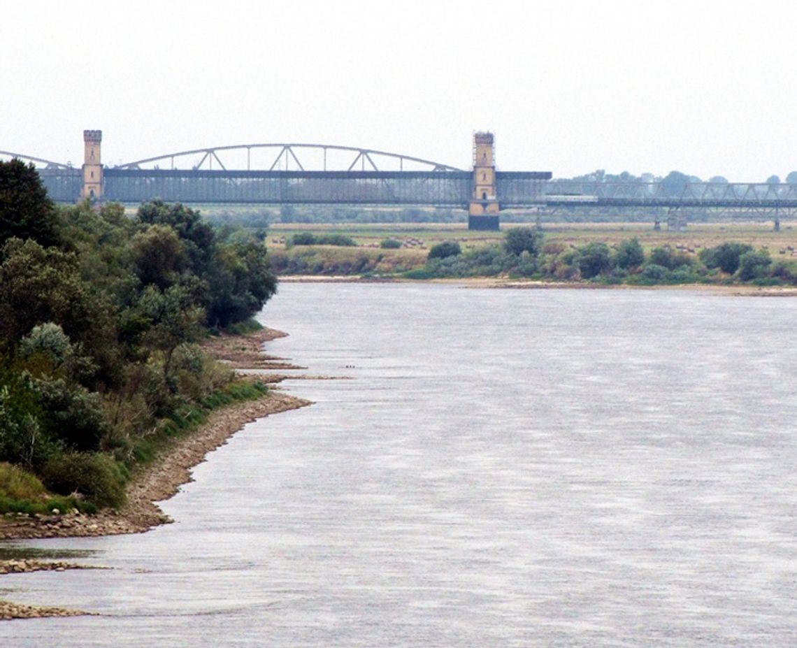 Na luzie: Pełnomocników jak „mrówków” Na luzie: Pełnomocników jak „mrówków”