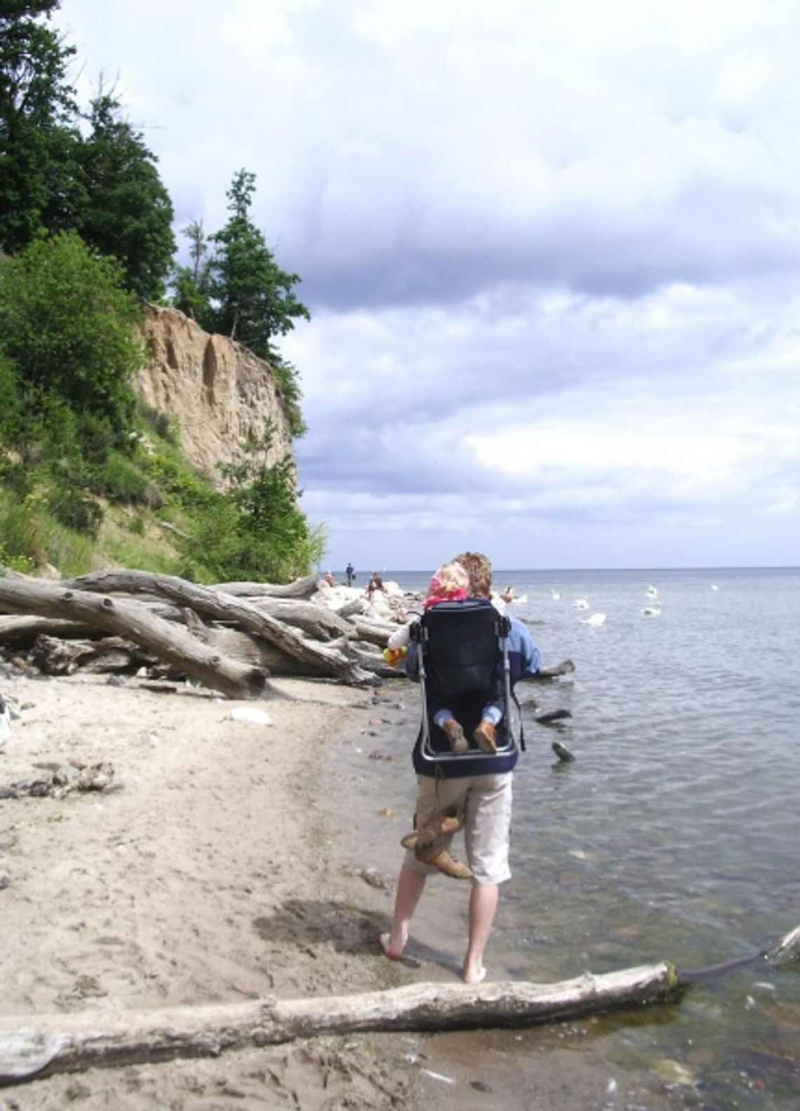 Na plażę bez psa. 500 zł mandatu za czworonożnego przyjaciela Na plażę bez psa. 500 zł mandatu za czworonożnego przyjaciela