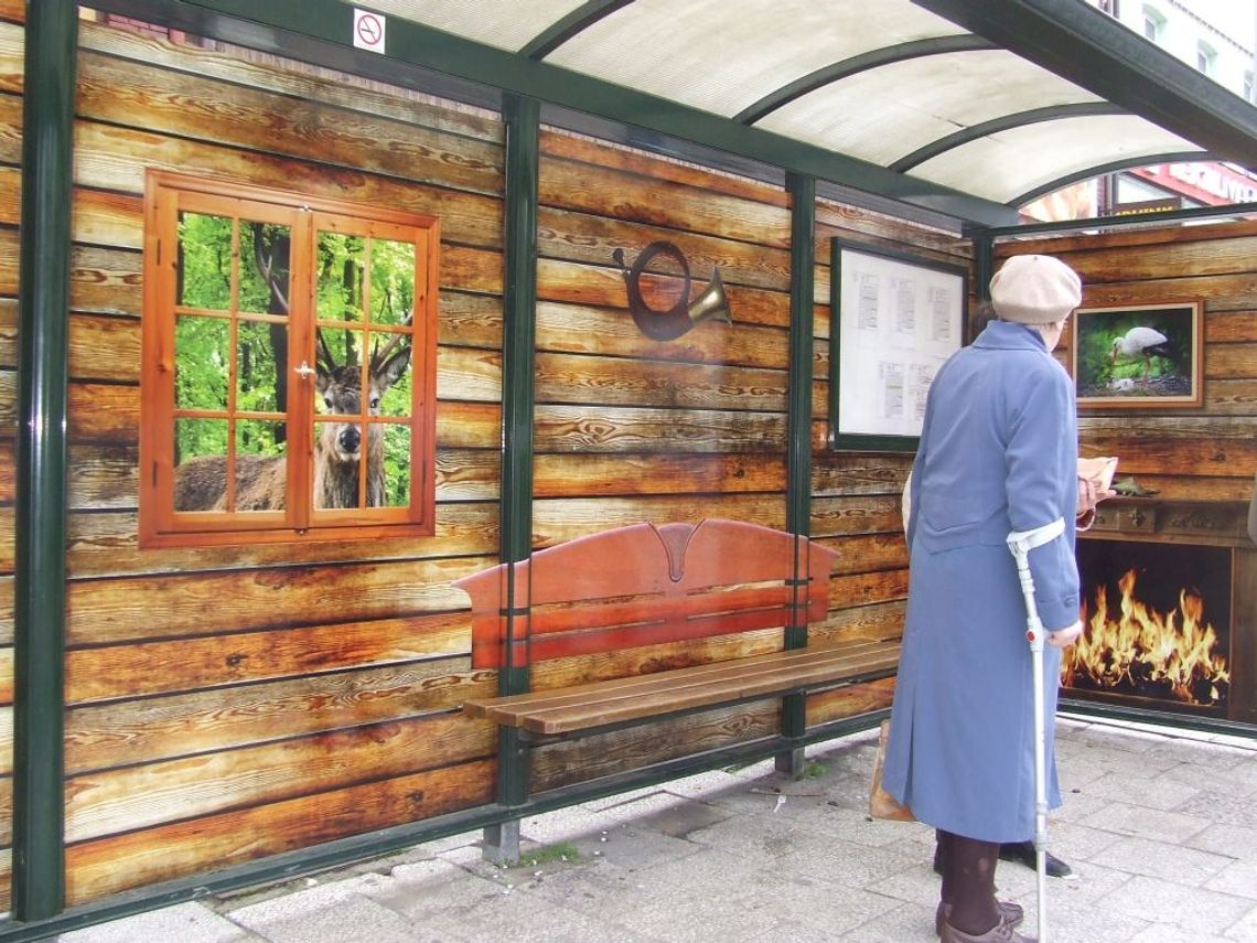 Na przystanku jak w lesie. Ciekawy pomysł Nadleśnictwa Na przystanku jak w lesie. Ciekawy pomysł Nadleśnictwa