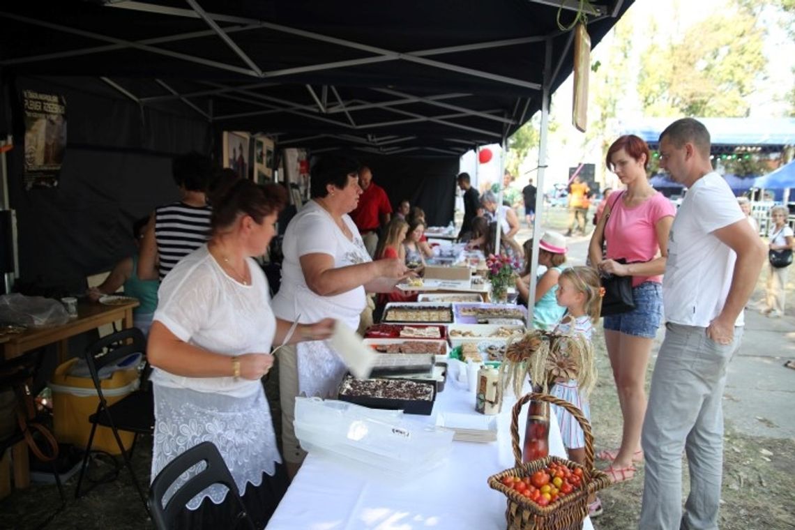 Nad Wisłą świętowano 95 rocznicę „cudu”