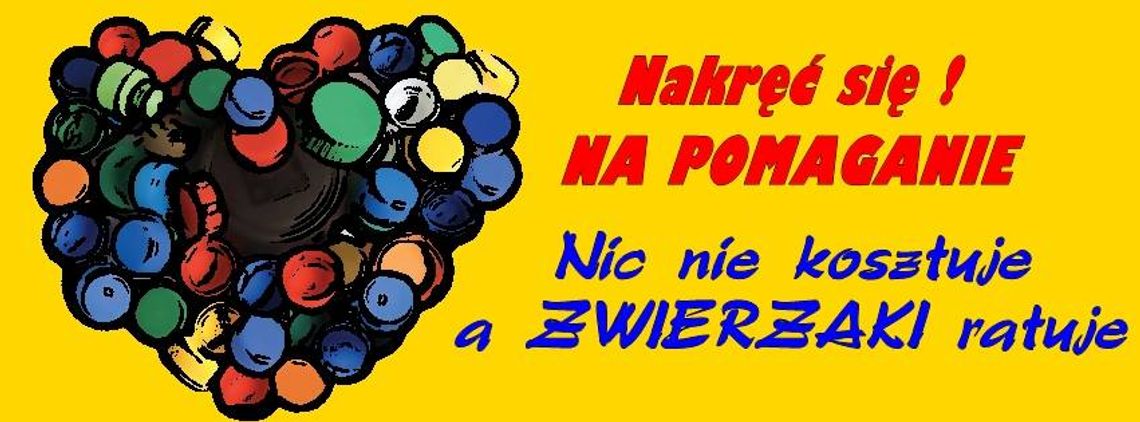 Nakręć się na pomaganie - zbiórka nakrętek, płyt CD i DVD na rzecz starogardzkiego Schroniska!