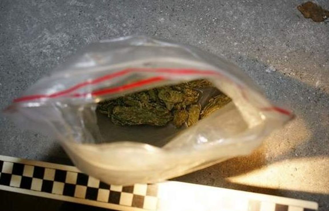 Nakryci w piwnicy z haszyszem. Grożą im 3 lata więzienia Nakryci w piwnicy z haszyszem. Grożą im 3 lata więzienia