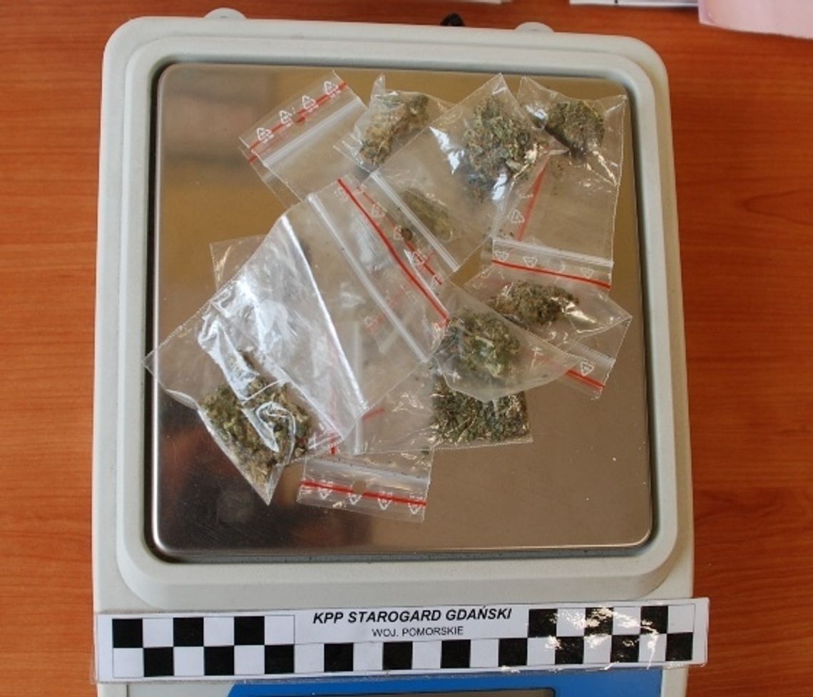 Narkotyki nie trafią na rynek – policja zatrzymała dilera Narkotyki nie trafią na rynek – policja zatrzymała dilera