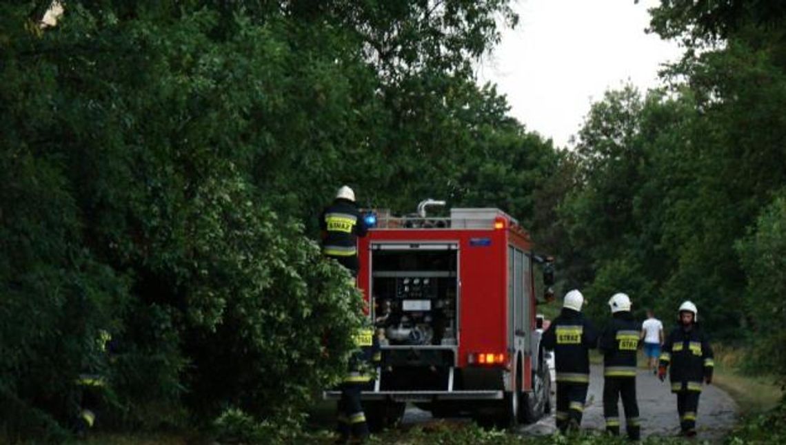 Nawałnica przeszła nad powiatem starogardzkim. Strażacy interweniowali aż 37 razy! Nawałnica przeszła nad powiatem starogardzkim. Strażacy interweniowali aż 37 razy!