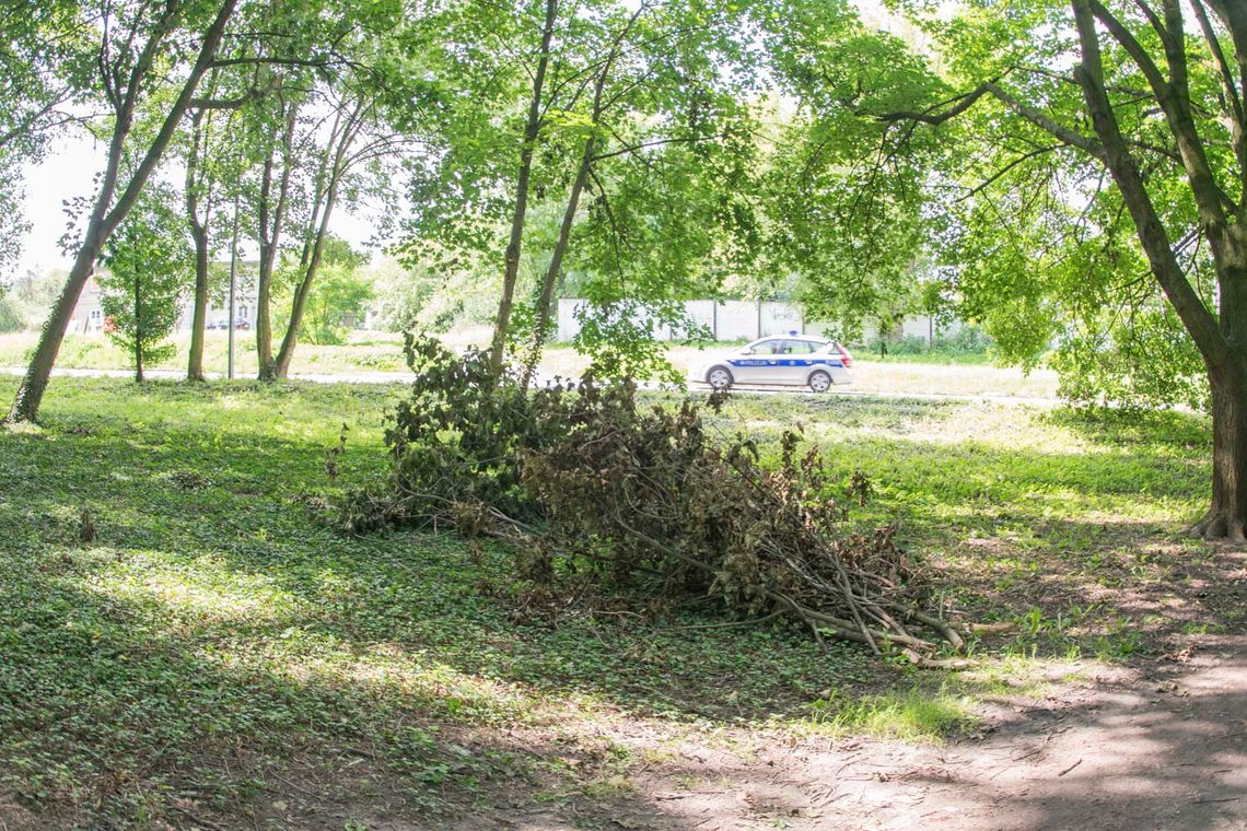 Nie chcą kolejnych płotów i ograniczeń