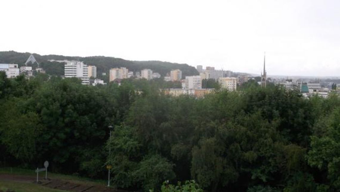 „Nie” dla cyrków w Gdyni