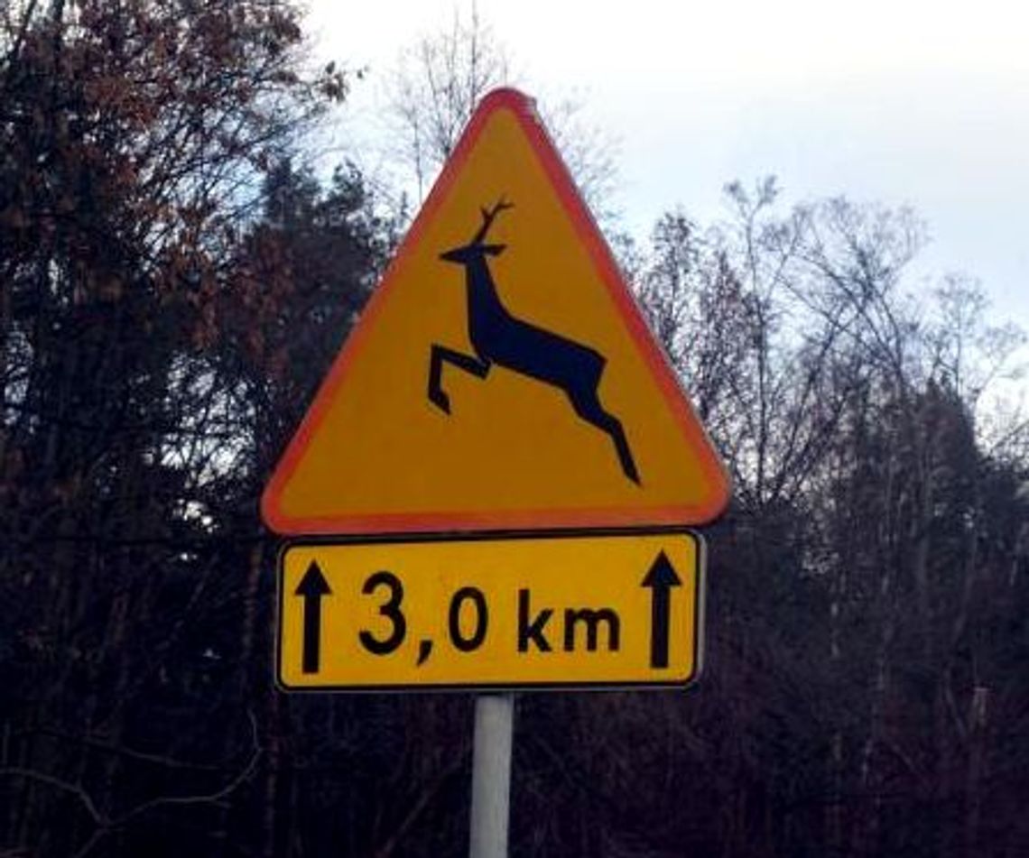 Nie maleje poziom dewastacji Nie maleje poziom dewastacji