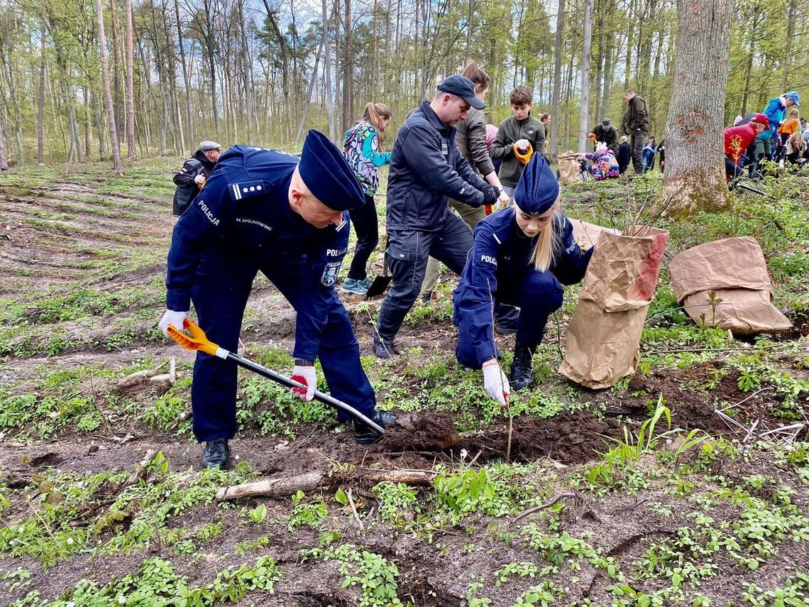 Nie tylko łapią przestępców, ale także sadzą las, dbając o środowisko