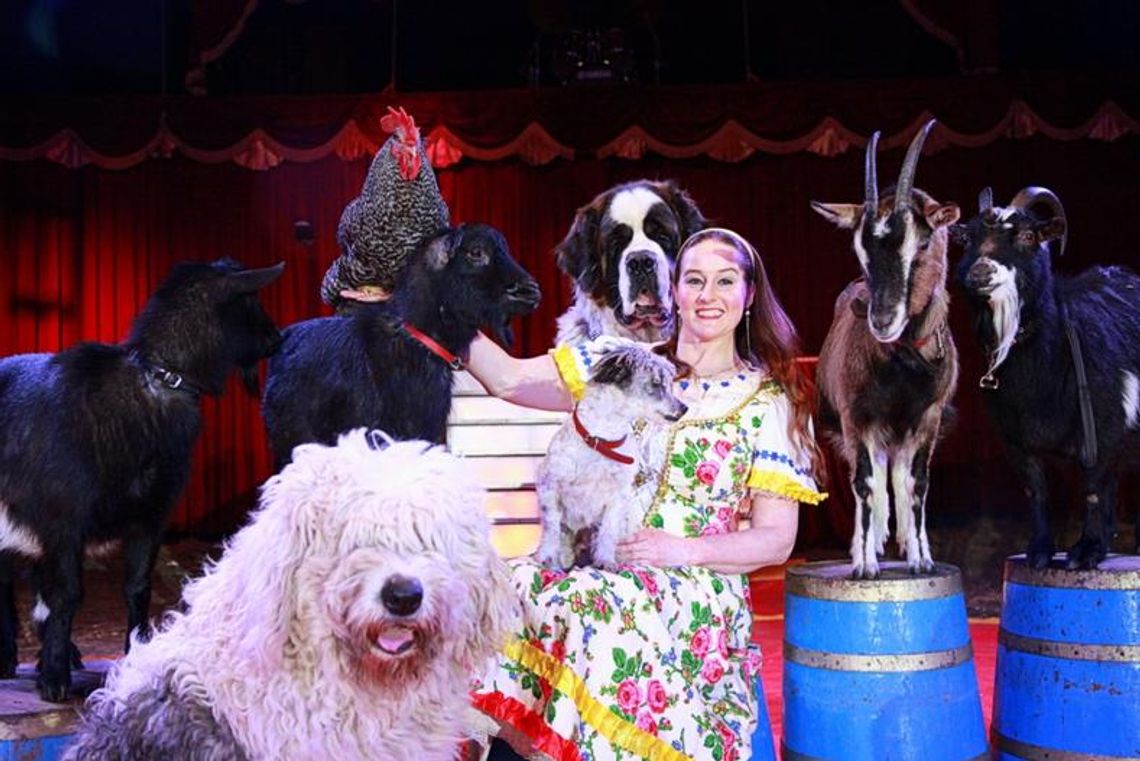 (NIEAKTUALNE) Bilety do CYRKU za darmo! Kto pierwszy, ten lepszy!