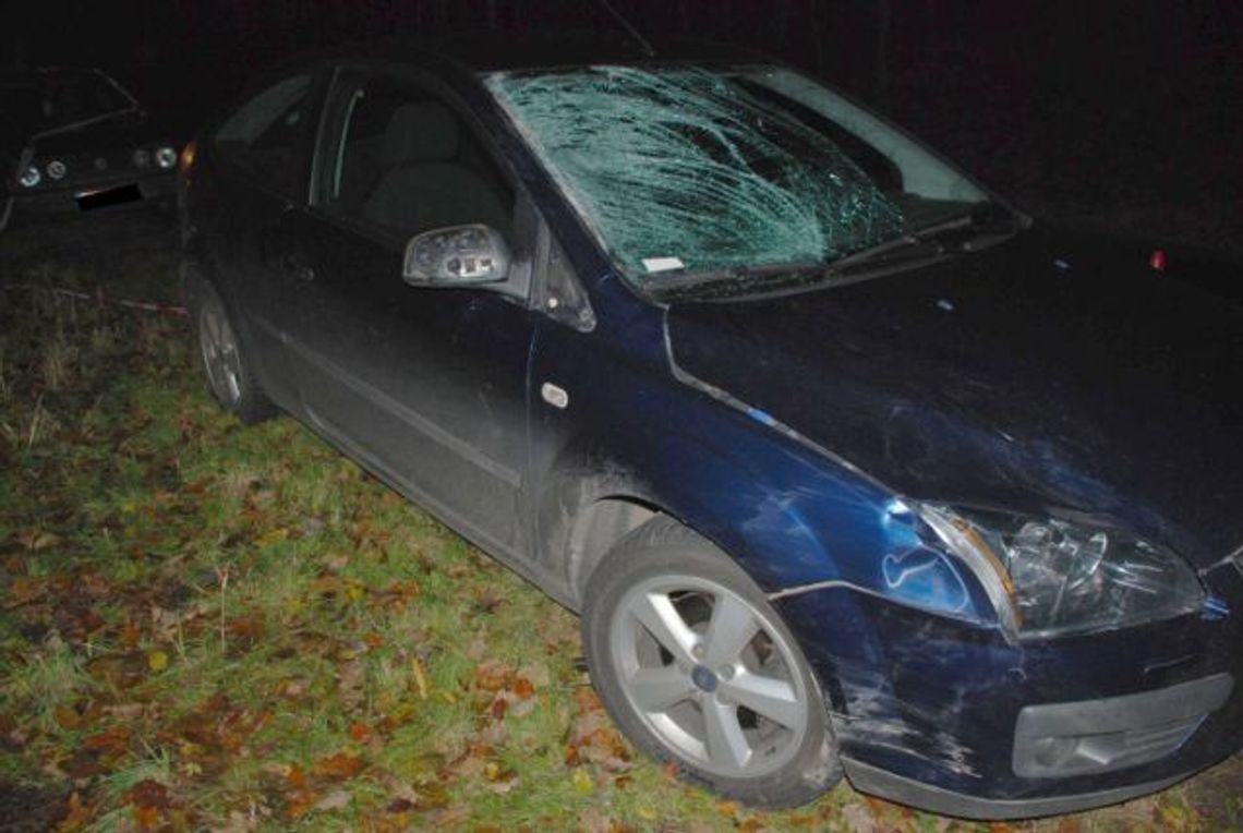Niebezpiecznie na drogach - szczgólnie o zmierzchu. Zginął pieszy Niebezpiecznie na drogach - szczgólnie o zmierzchu. Zginął pieszy