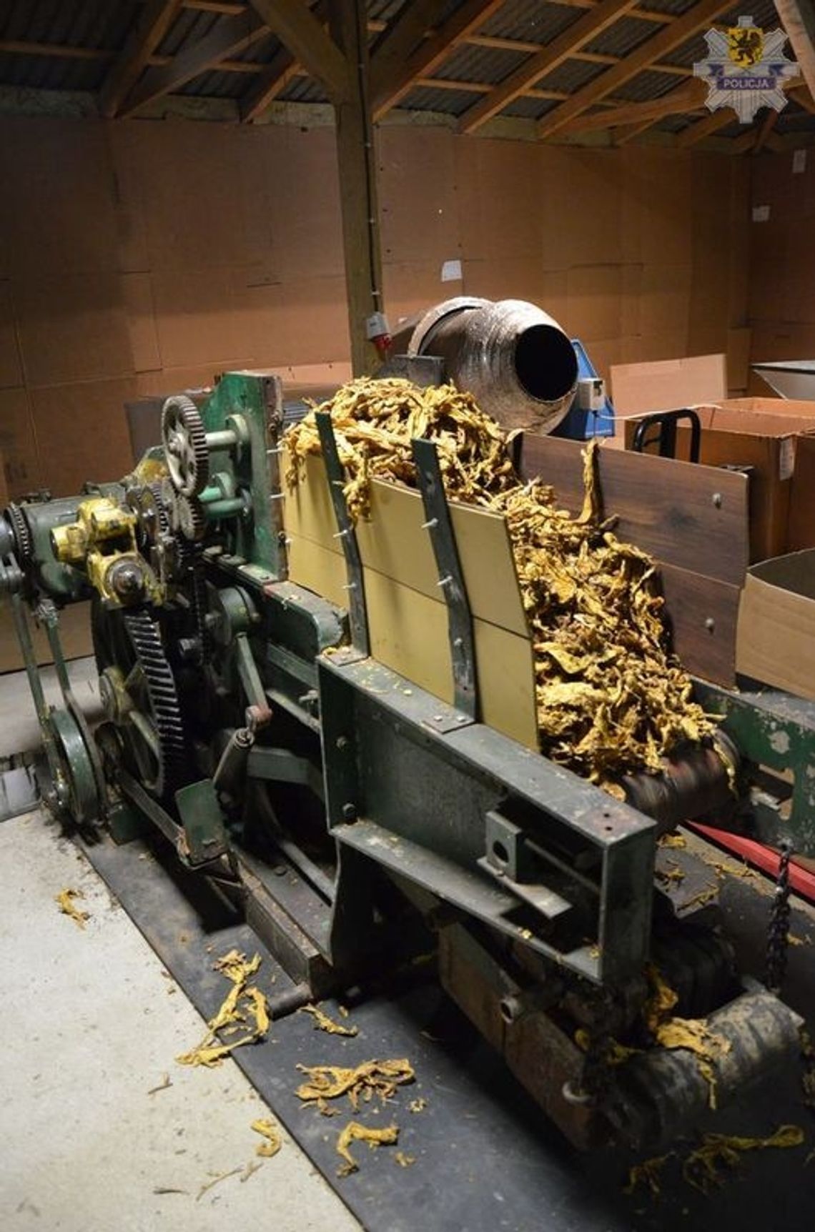 Nielegalna fabryka tytoniu. Prawie tona krajanki i spirytus bez akcyzy Nielegalna fabryka tytoniu. Prawie tona krajanki i spirytus bez akcyzy