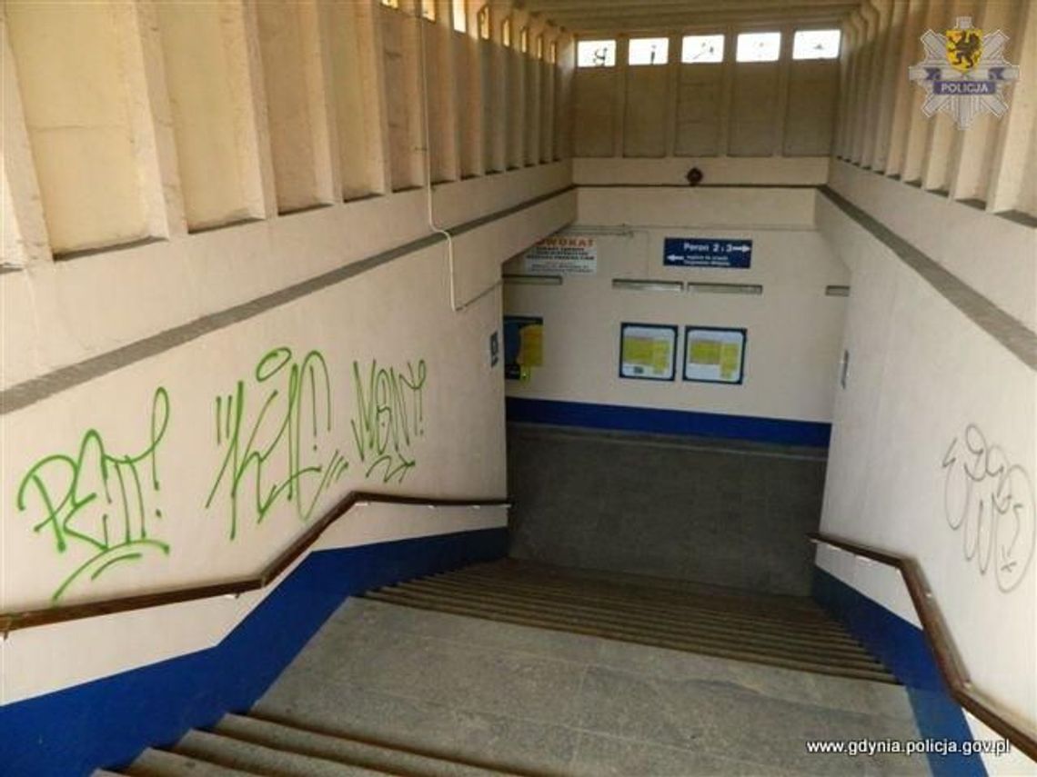 Nielegalne graffiti - uszkodził ponad 85 elewacji Nielegalne graffiti - uszkodził ponad 85 elewacji