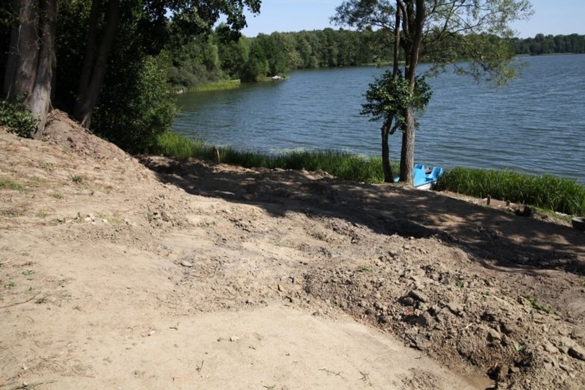 Nielegalne prace oraz wycinka drzew