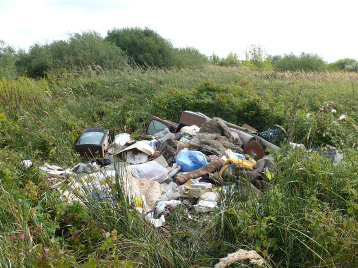Nielegalne wysypisko w Kuchni - telewizor i książka nad Wisłą Nielegalne wysypisko w Kuchni - telewizor i książka nad Wisłą