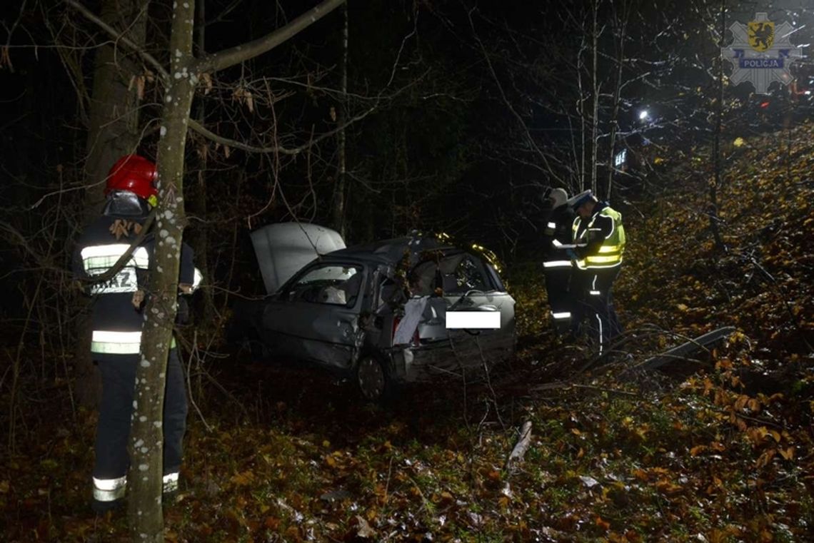 Nietrzeźwa 19-latka uderzyła w drzewo. Zginął 28-letni pasażer.