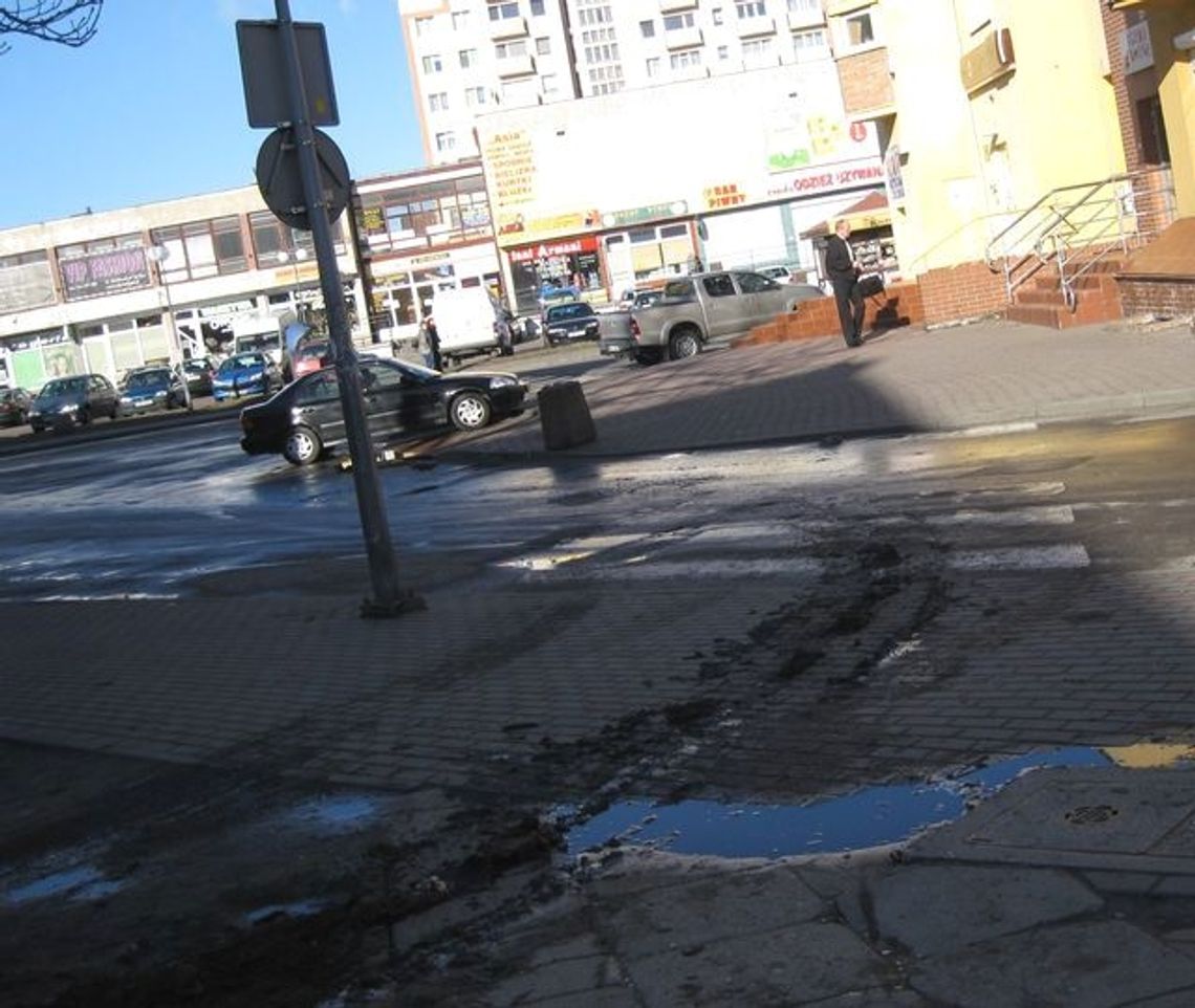 Nietypowo na chodniku; martwy gołąb, kot, szczur, śmieci Nietypowo na chodniku; martwy gołąb, kot, szczur, śmieci