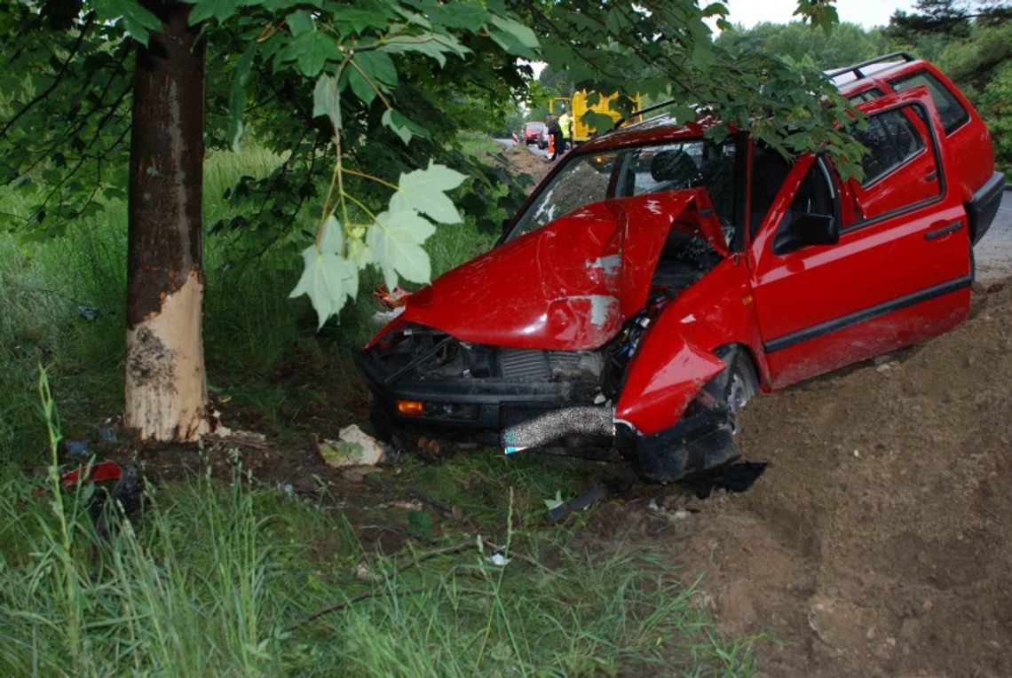 Nieuwaga z finałem na drzewie Nieuwaga z finałem na drzewie