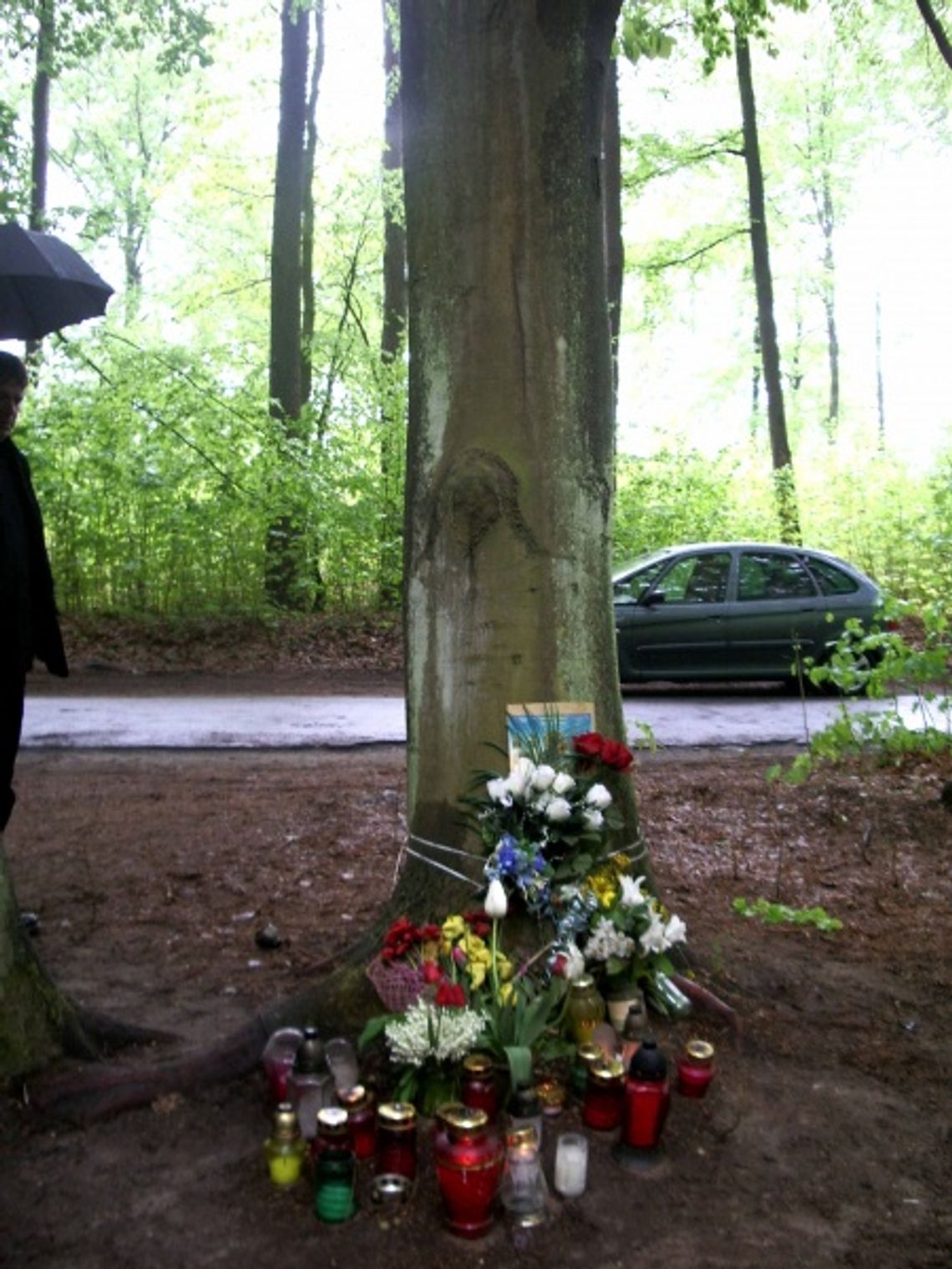 NIEZWYKŁE ZJAWISKO. Wizerunek Matki Boskiej na drzewie w Balewie? NIEZWYKŁE ZJAWISKO. Wizerunek Matki Boskiej na drzewie w Balewie?