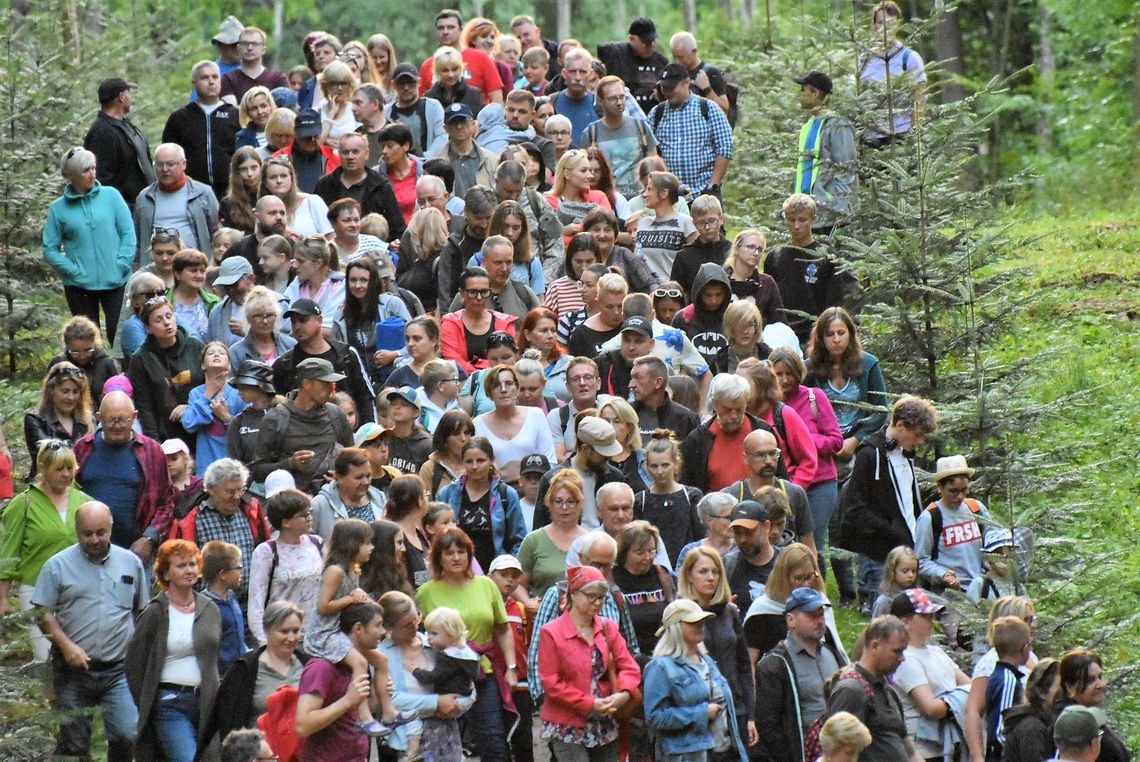 Noc w Muzeum - III Spacer z Opowieściami w Arboretum Wirty