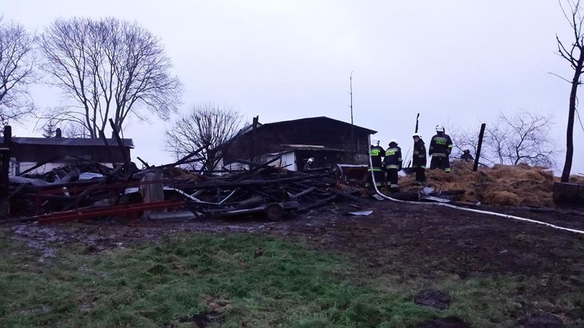 NOWE fakty w sprawie pożarów. Podejrzany o podpalenie trafił do Izby Dziecka NOWE fakty w sprawie pożarów. Podejrzany o podpalenie trafił do Izby Dziecka